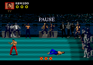 Pit-Fighter (World) (July 1991)