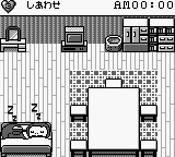 Pocket Family (Japan)