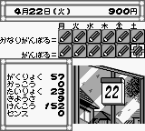 Pocket Love (Japan)