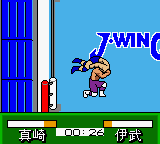 Pocket Pro Wrestling - Perfect Wrestler (Japan)