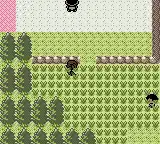 Pokemon Crystal Clear Standard (v2.5.5)