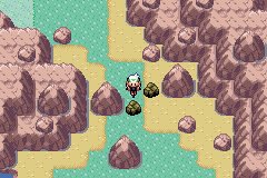 Pokemon Emerald Extreme Randomizer