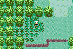 Pokemon Emerald Rebirth Reborn