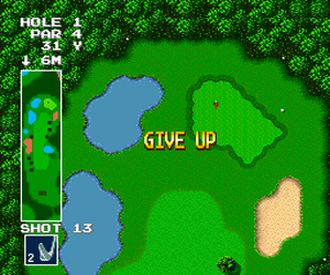 Power Golf (USA)