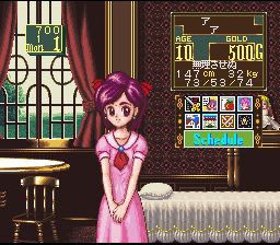 Princess Maker - Legend of Another World (Japan)