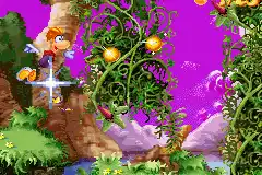 Rayman 3 - Hoodlum Havoc (U)(RDG)