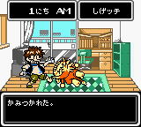 Saru Puncher (Japan)