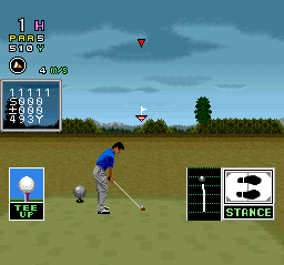 Serizawa Nobuo no Birdie Try (Japan)