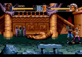 Shaq Fu (USA, Europe)