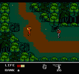 Snake's Revenge (USA)