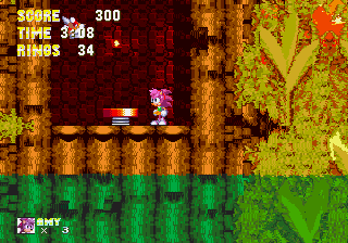 Sonic 3 and Amy Rose