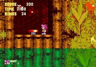 Sonic 3 and Amy Rose