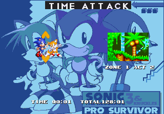 Sonic 3 & Knuckles - Pro Survivor