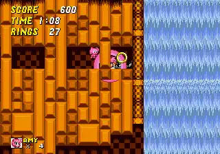 Sonic the Hedgehog 2 Pink Edition