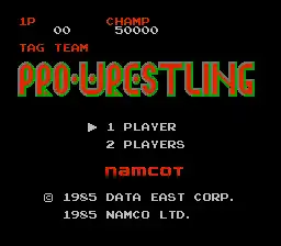 Special Tag Team Pro Wrestling (Japan)