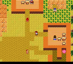 Startropics (Europe)