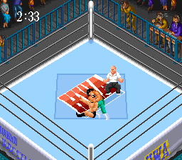 Super Fire Pro Wrestling 2 (Japan)