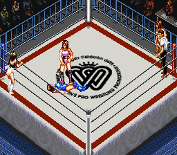 Super Fire Pro Wrestling - Queen's Special (Japan)