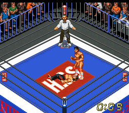 Super Fire Pro Wrestling X Premium (Japan)