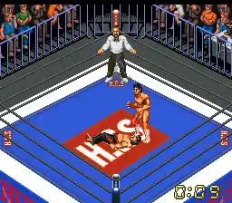 Super Fire Pro Wrestling X Premium (Japan)