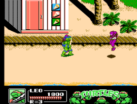 Teenage Mutant Ninja Turtles II - The Manhattan Project (Japan)