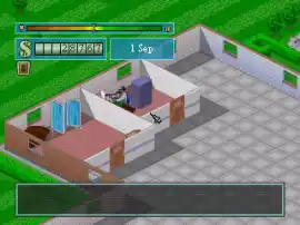 Theme Hospital