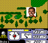 Tiger Woods PGA Tour 2000 (USA, Europe)