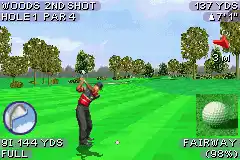 Tiger Woods PGA Tour 2004 (U)(Eurasia)