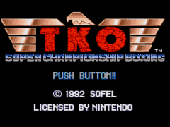 TKO Super Championship Boxing (USA) (Sample)