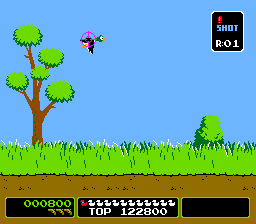 Vs. Duck Hunt