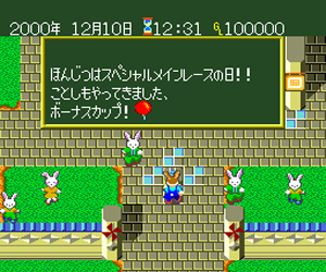 Wallaby!! - Usagi no Kuni no Kangaroo Race (Japan)