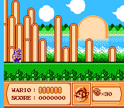 Wario Land II