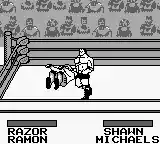 WWF King of the Ring (Japan)