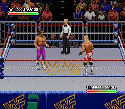 WWF Royal Rumble (Japan)