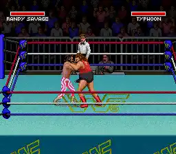 WWF Super WrestleMania (USA)