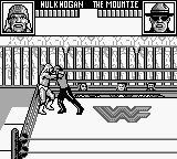 WWF Superstars 2 (Japan)